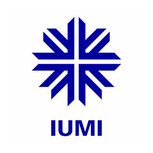 IUMI Logo